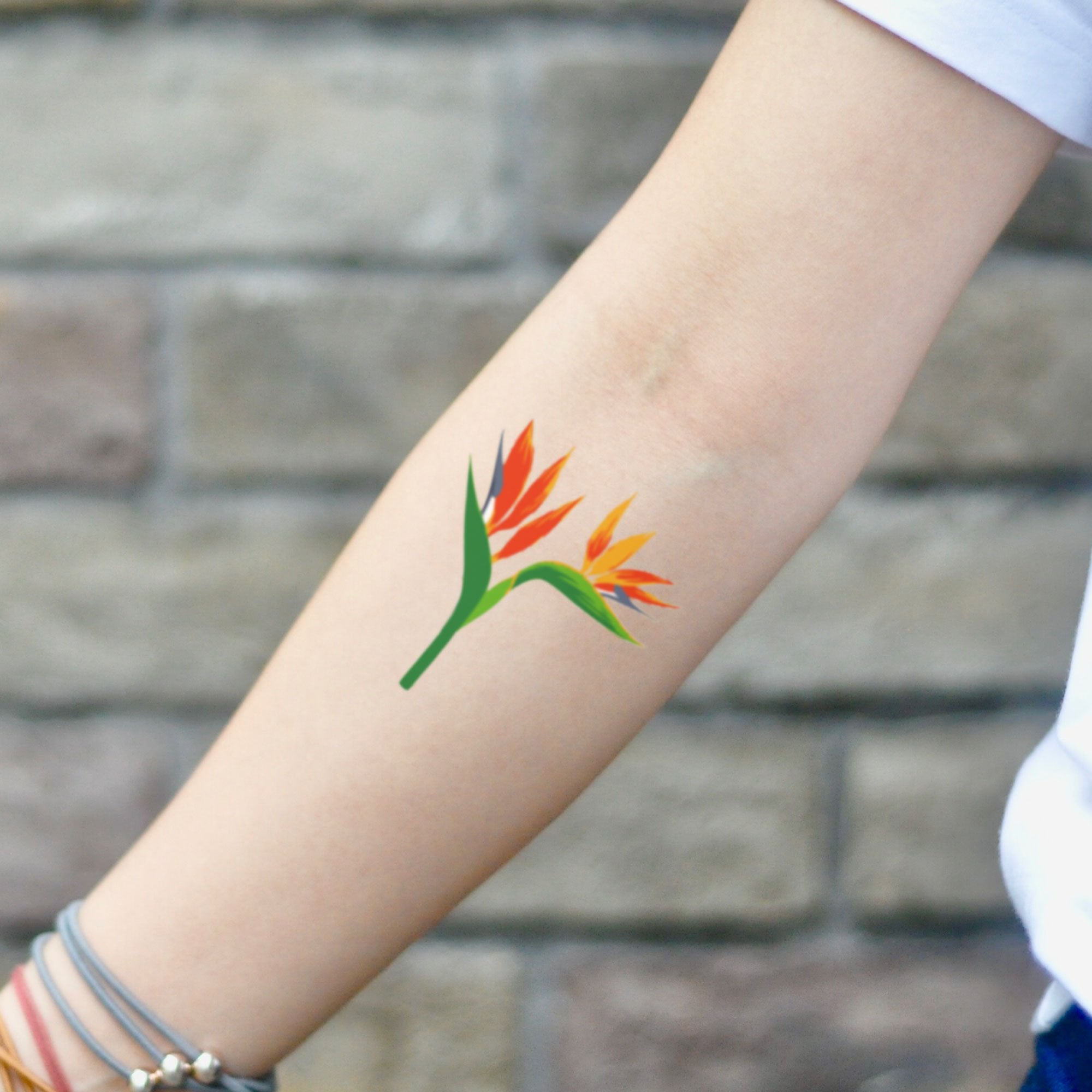 Bird Of Paradise Temporary Tattoo Sticker Ohmytat