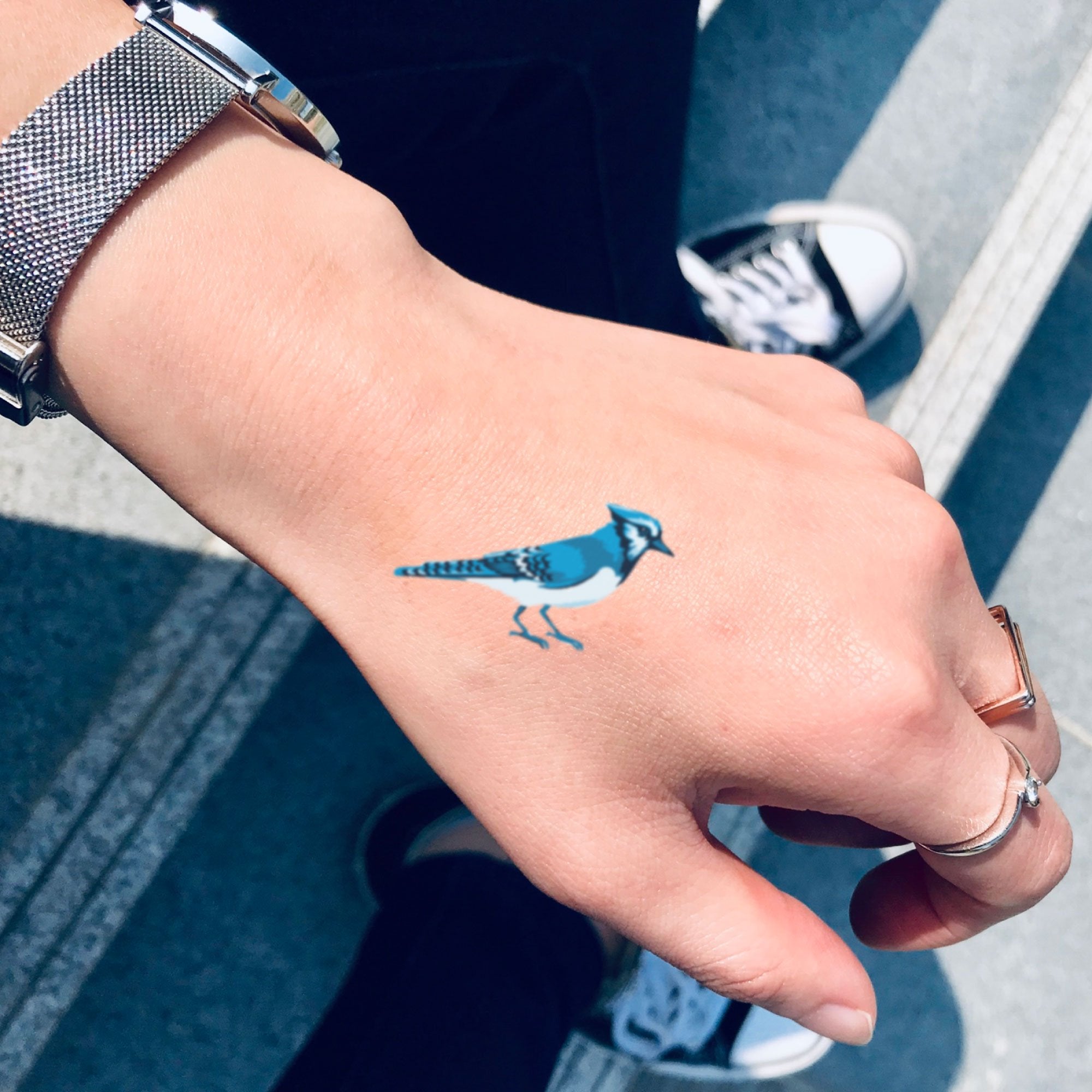 Blue Jay Bird Temporary Tattoo Sticker Ohmytat