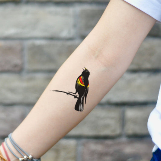 red jay bird tattoo