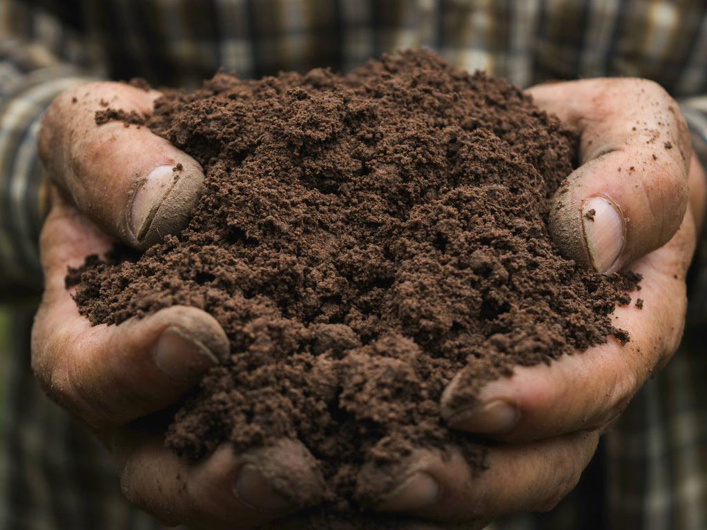 How Do You Get Ingrained Dirt Off Your Skin? | Balmonds