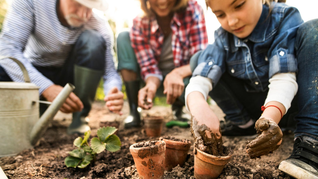 family of mixed ages potting out plants from terracotta pots into the soil