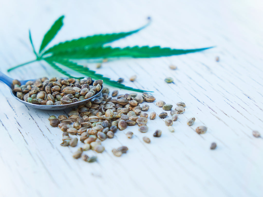 hemp seed skincare CBD