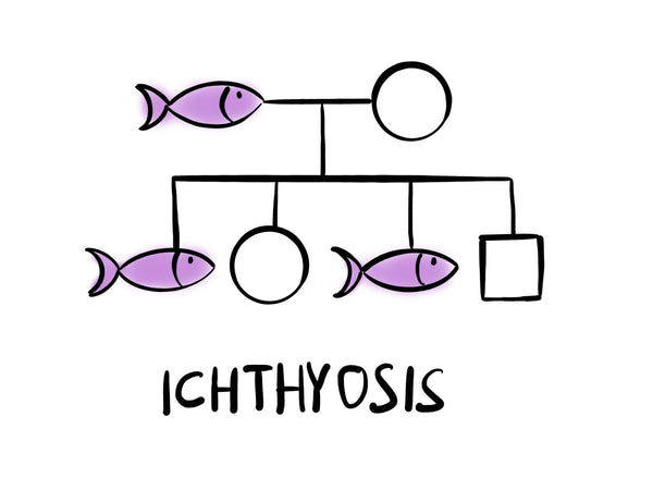 ichthyosis diagram