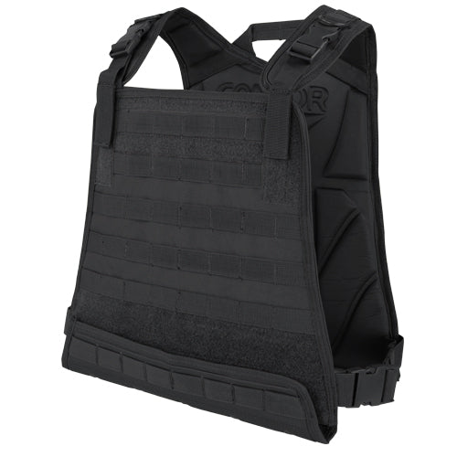 Compact Plate Carrier