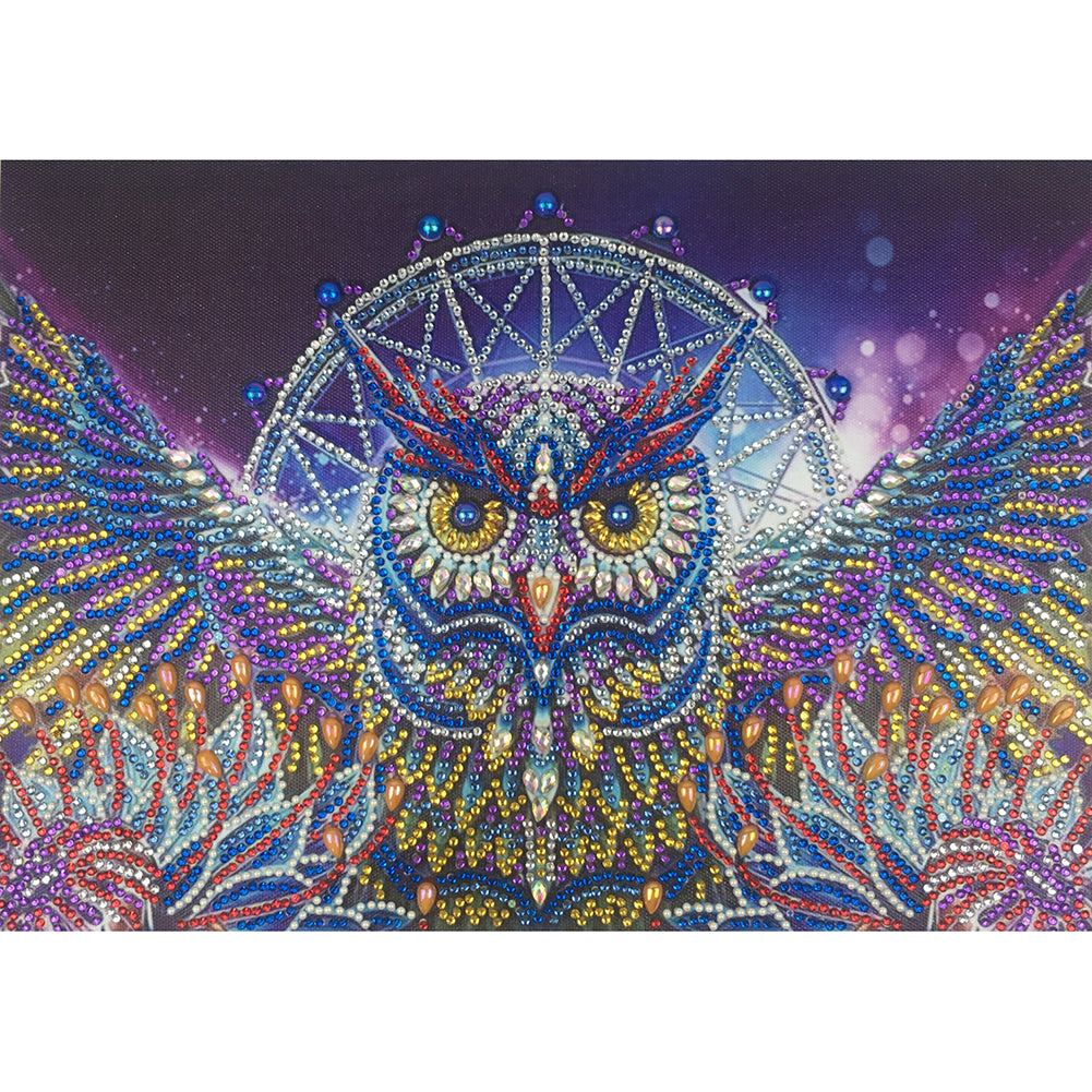  Diamond  Painting  Crystal  Rhinestone Owl Page 1 