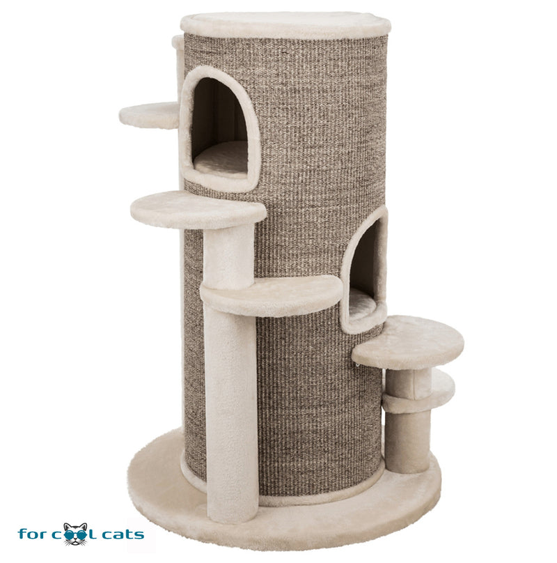 browser Bijdrage Inschrijven Krabpaal voor grote katten met opstap trapjes – For Cool Cats