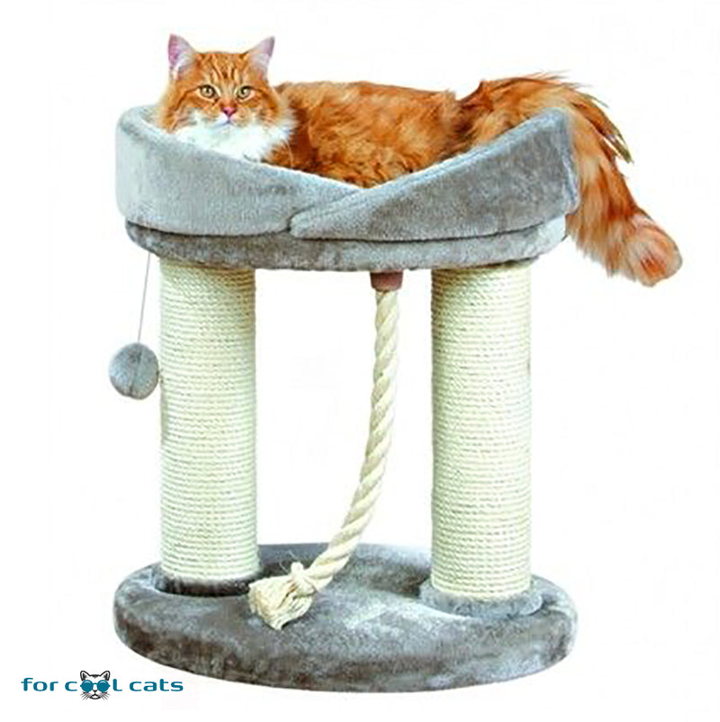 doorgaan met verjaardag Opmerkelijk Kleine krabpaal met kattenmand en sisal krabstammen, 53x43x60cm – For Cool  Cats