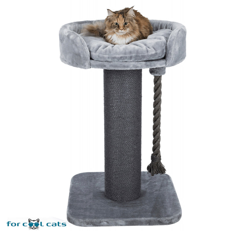 Verlichten Gematigd koolhydraat Stevige krabpaal voor grote kat XXL grijs 60x60x100cm – For Cool Cats