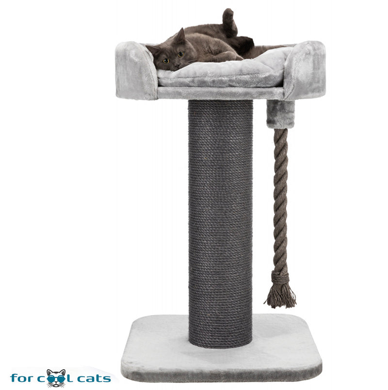 Agnes Gray Interpunctie invoegen Stevige krabpaal voor grote kat XXL grijs 60x60x100cm – For Cool Cats