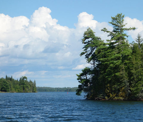 Lake of the Woods, photo by Karen Richardson