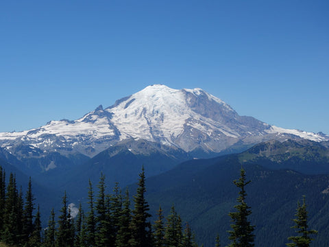 Mt Ranier, photo by Karen Richardson