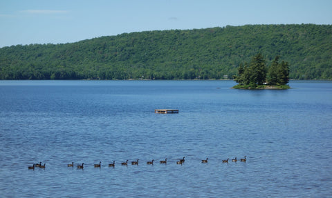 Sand Lake, photo by Karen Richardson