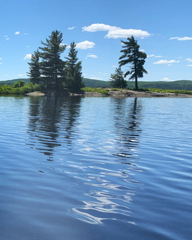 Sand Lake - photo by Karen Richardson