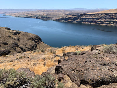 Columbia River, photo by Karen Richardson