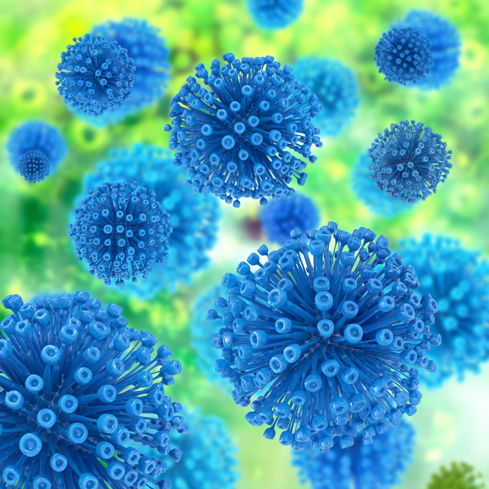 viruses-common-retroviruses-ergopathics