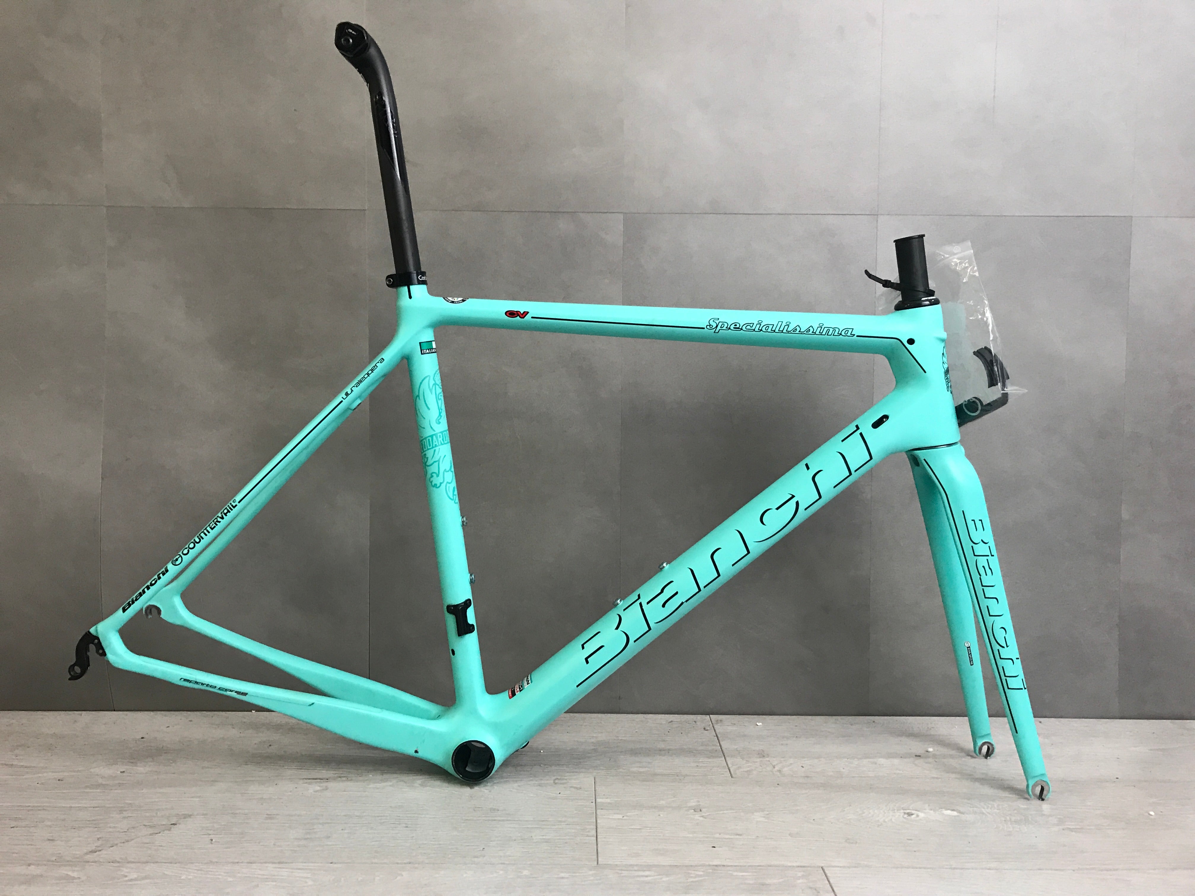 bianchi specialissima 2021 frameset