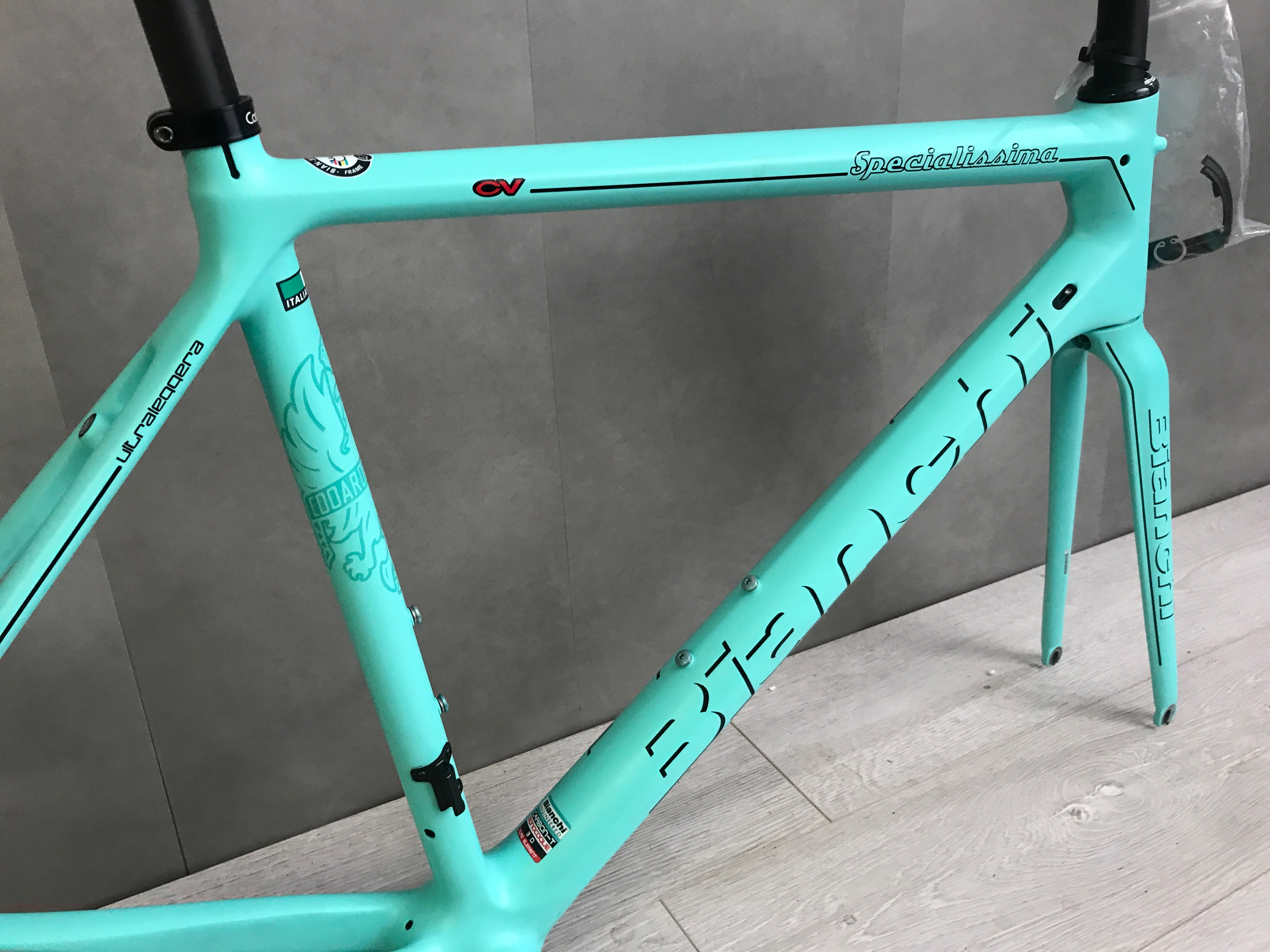 bianchi specialissima frameset