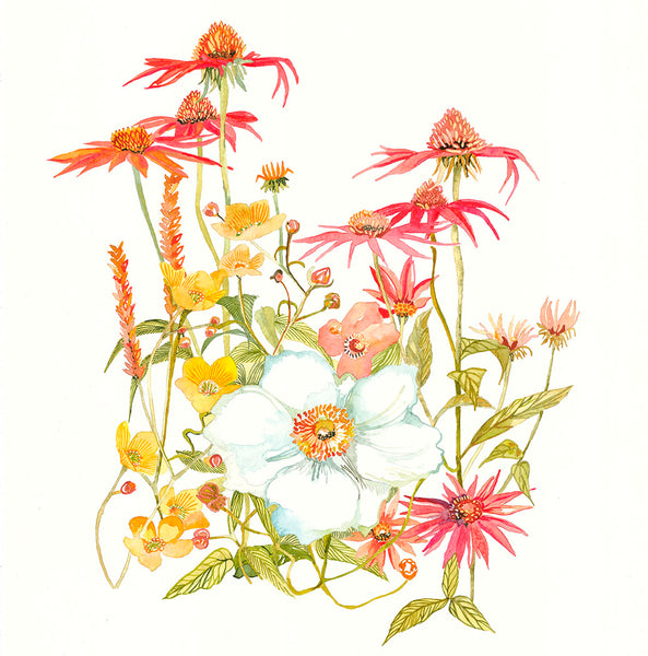 Echinacea, buttercups and Cosmo flowers painted by Danielle Morgan
