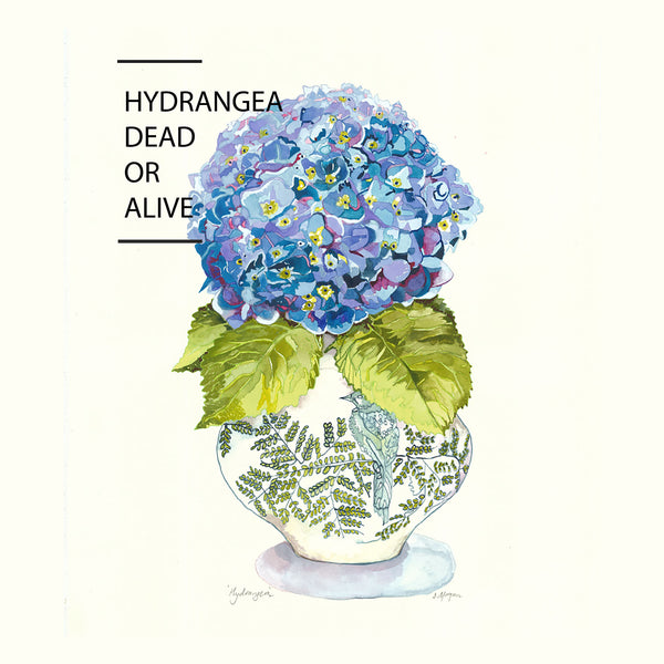 Hydrangea watercolour painting by Danielle Morgan