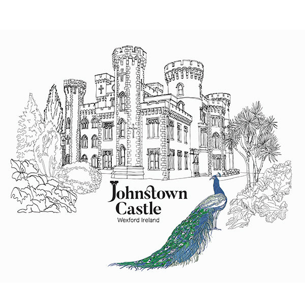 Final illustration of Johnston Castle by Danielle Morgan