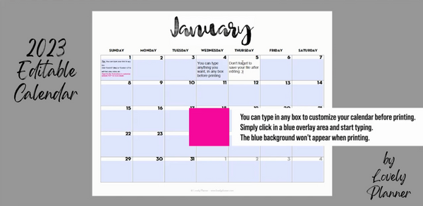 EDITABLE PDF - 2023 Monthly Calendar – Lovely Planner