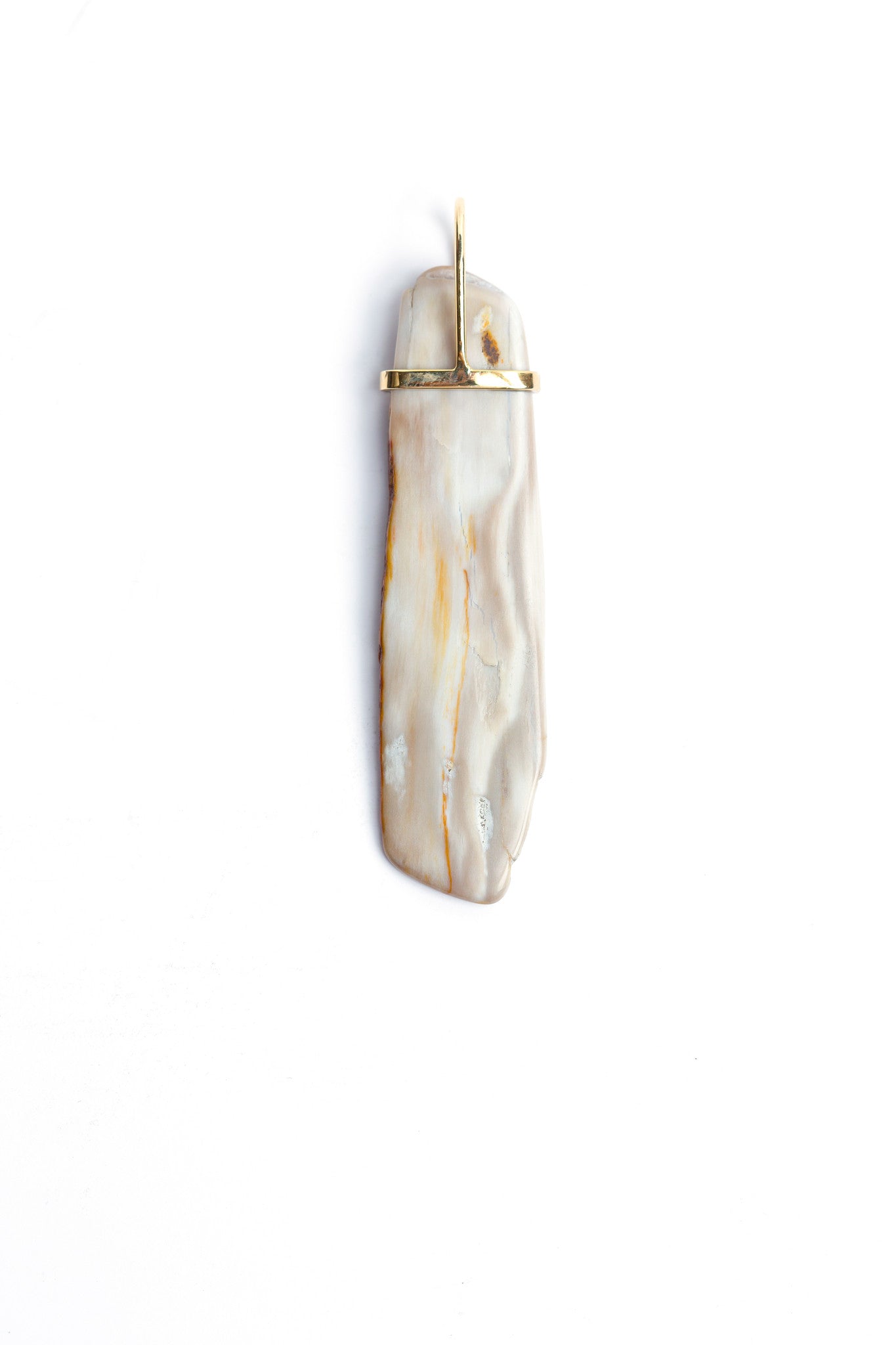 Petrified Wood Pendant