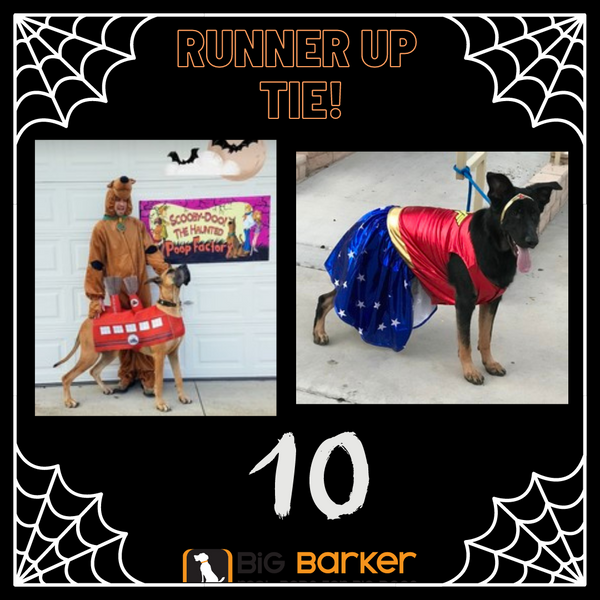 Big Barker Halloween 2020 Runner up 10