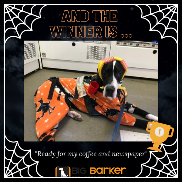 Big Barker Halloween 2020 Winner 1