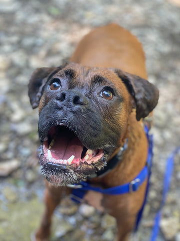 "Happiest when he’s Swimming!"