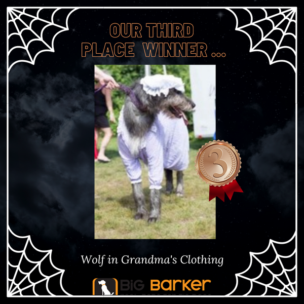 Big Barker Halloween 2020 Winner 3