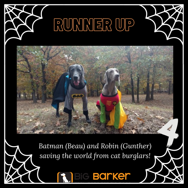 Big Barker Halloween 2020 Runner up 4