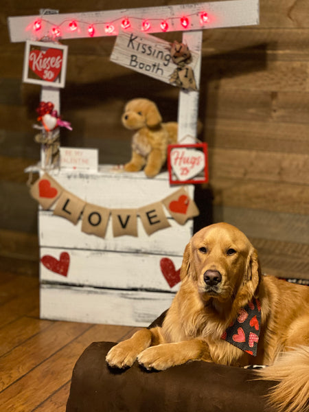 Golden Retriever on Big Barker bed