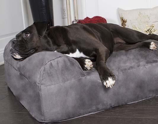 big dog beds cheap