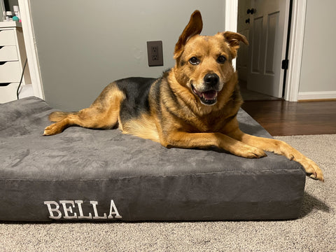 Bella with her embroidered Big Barker Bed