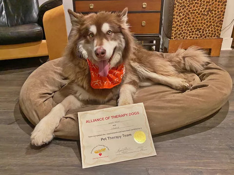 Ichabod receives his certification