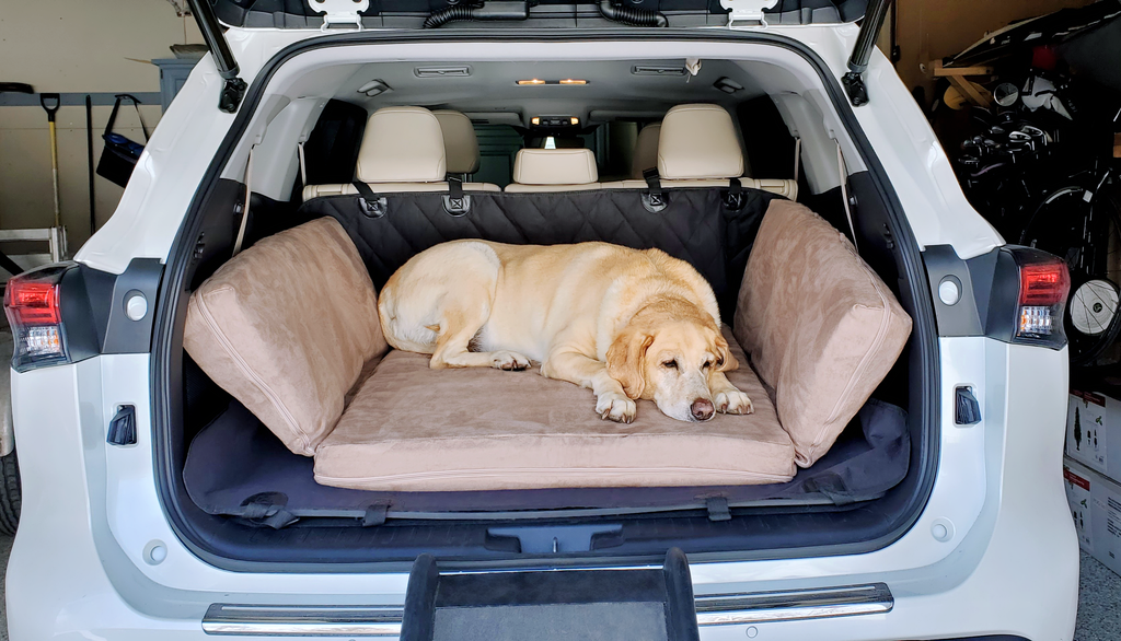 Dog on Backseat Barker