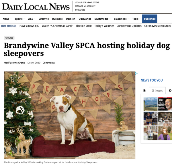 Daily Local News Holiday Sleepovers