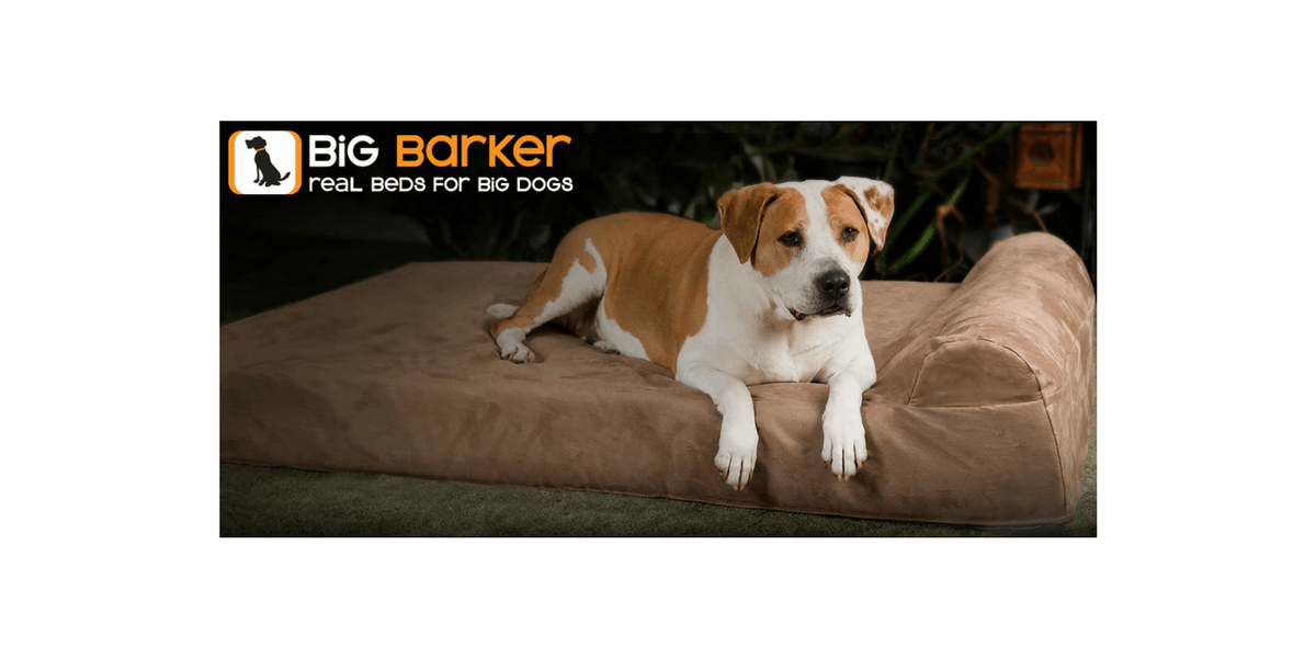 big barker dog bed australia
