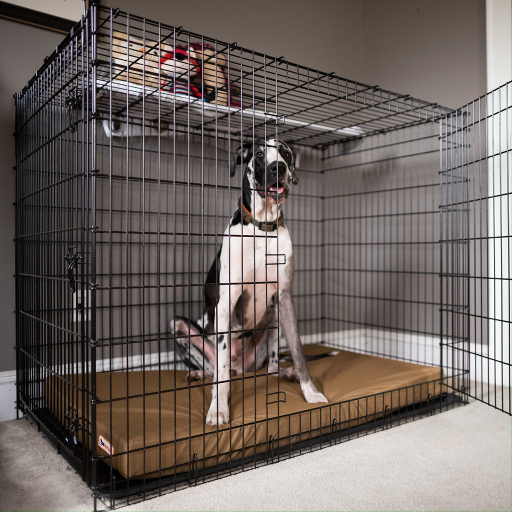 Big Barker crate pad