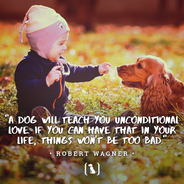 "A dog will teach you unconditional love. If you can have that in your life, things won't be too bad."