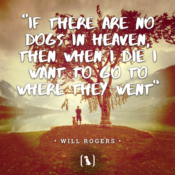 “If there are no dogs in heaven, then when I die I want to go to where they went”