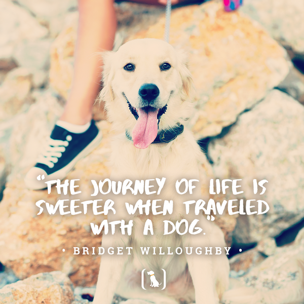 “The journey of life is sweeter when traveled with a dog”