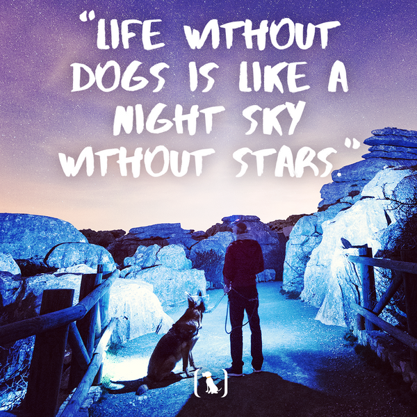 “Life without dogs is like a night sky without stars”