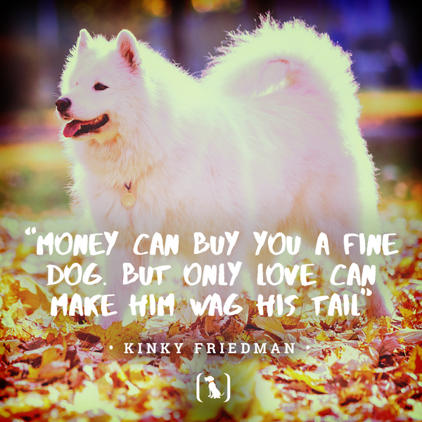 “Money can buy you a fine dog. But only love can make him wag his tail”