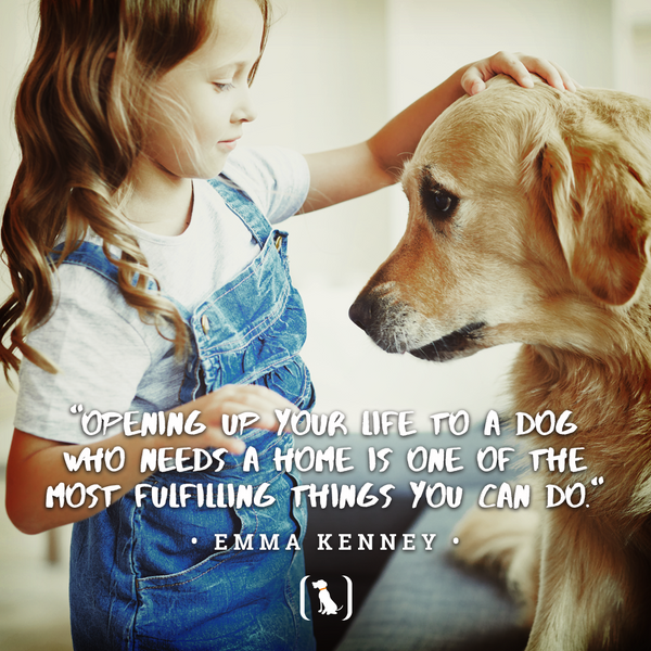 "Opening up your life to a dog who needs a home is one of the most fulfilling things you can do."
