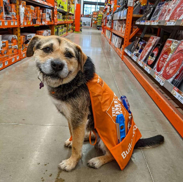 Heaven with her Home Depot Apron