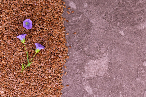 From Flax to Linen Clothing: Long Journey in Short - menique