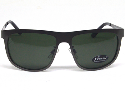 VELOCITY Wayfarer sunglasses with 