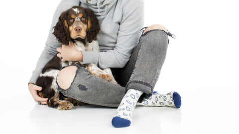 puppy dog compression socks