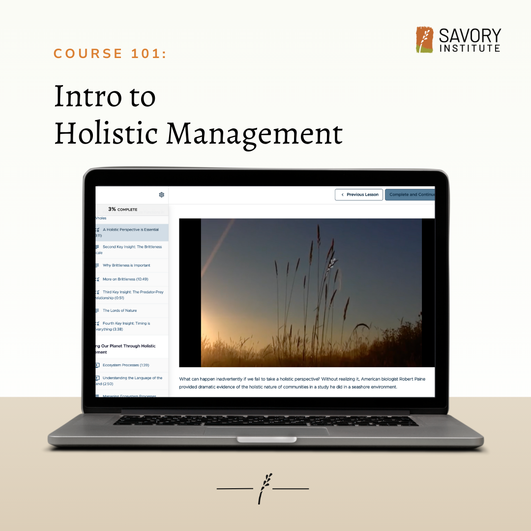 101: Introduction to Holistic Management